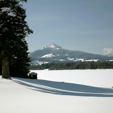 Chaletwohnung Seeblick Oy-Mittelberg Exterior photo