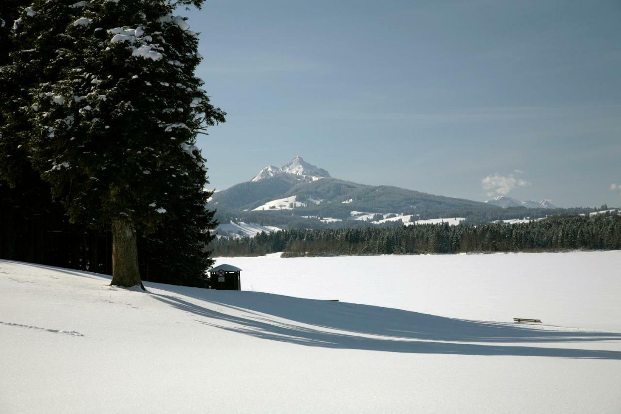 Chaletwohnung Seeblick Oy-Mittelberg